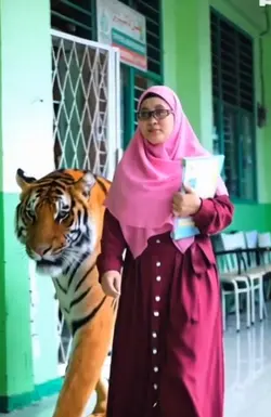 harimau berjalan 