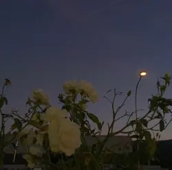 21학번-스티커 사진