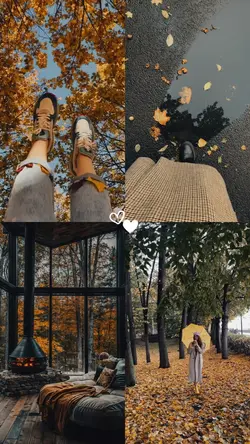 autumn 
