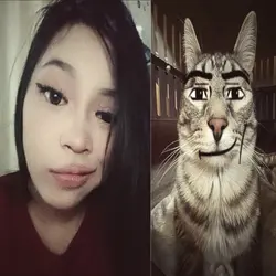 sigma face