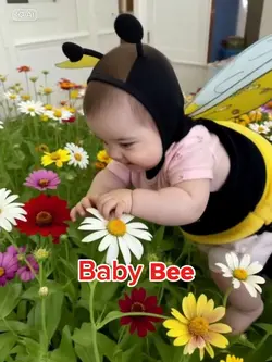 Baby Bee Filter