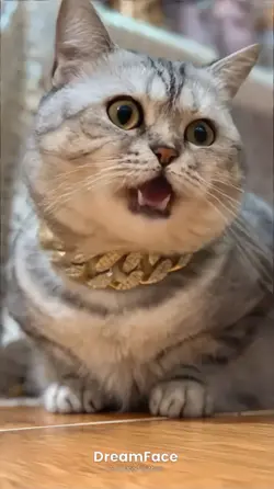 โกโกวา