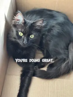 Reminder 
