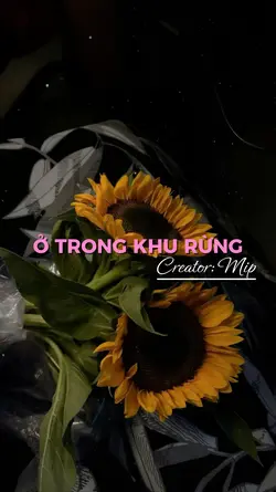 Ở trong khu rừng