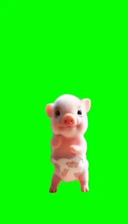 shakin' bacon
