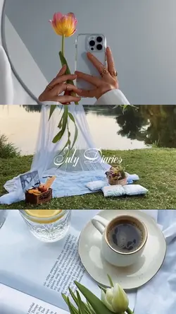 July diaries