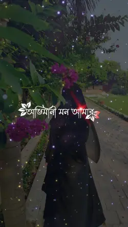 অবি মানি মন আমার 