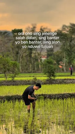 story wa