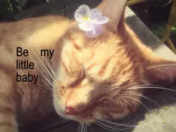 be my baby