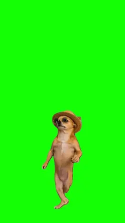 Perrito Bailando