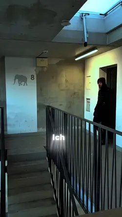 Carli - EXIT