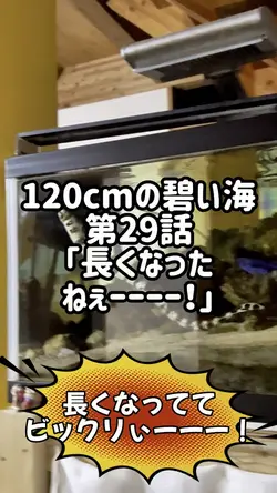 ビックリ吹き出し💬
