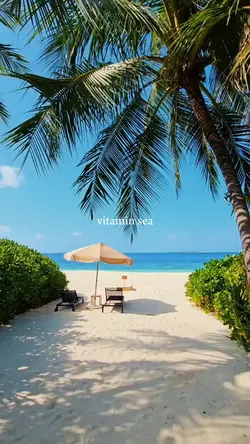 VITAMIN SEA