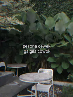 cwek ga gila cwok