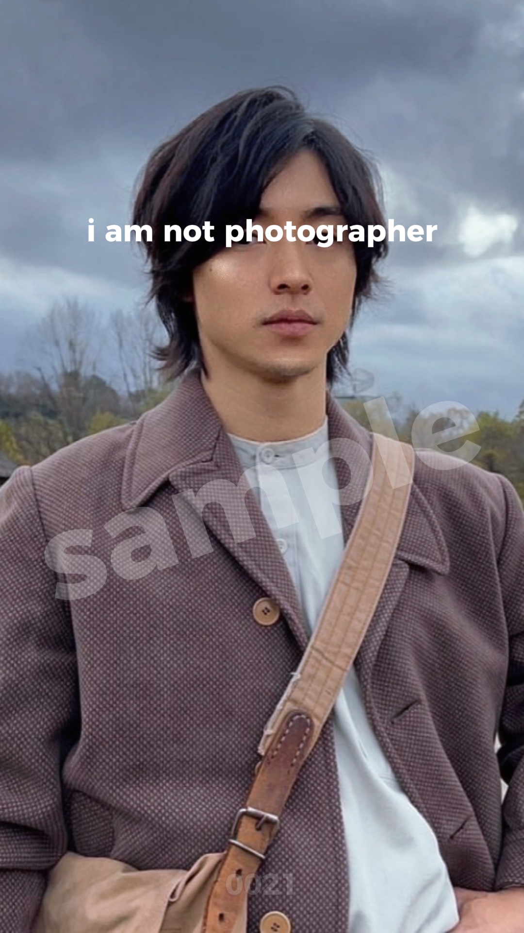 Pictographer Effect - Pippit