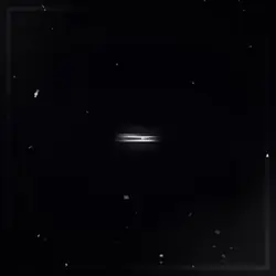 Not alone