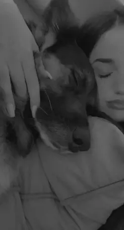🐶 