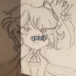 qnaaaaa