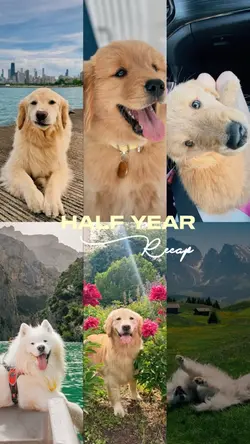 Half year recap