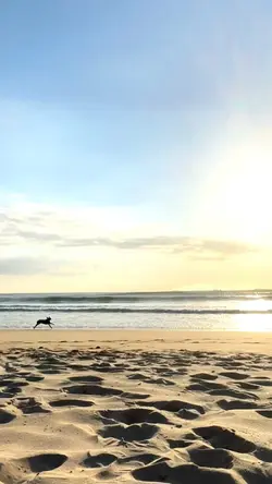 Beautiful Moment