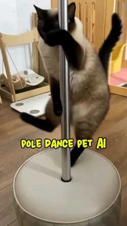 pole dance pet 