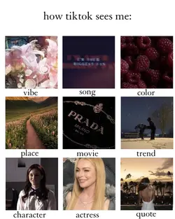 how tiktok sees me