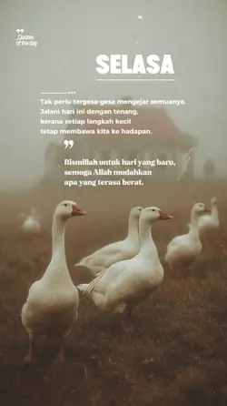 Selasa