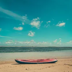 missing the waves