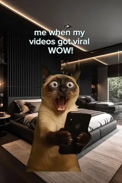 Viral Videos Memes