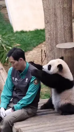慢慢走慢慢来