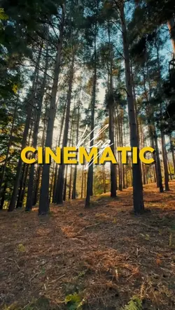 Cinematic vlog 