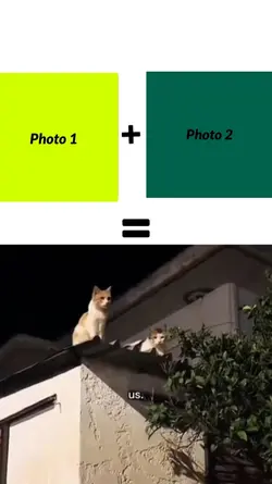 New Master Template