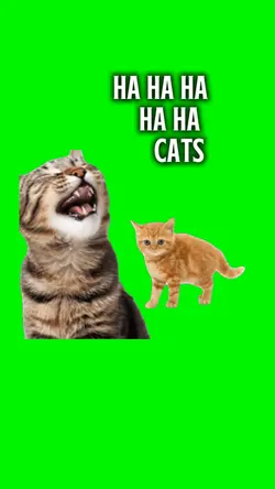 Ha Ha Ha Cats
