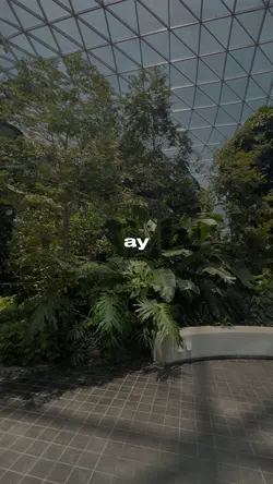 6 attachment (Nemz)