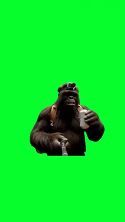 gorilla vlogger