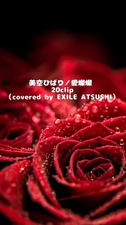美空ひばり／愛燦燦
