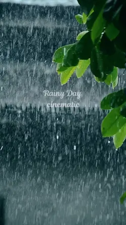 RAINY DAY 