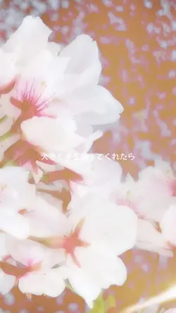 帰りたくなったよ/いきものがかり