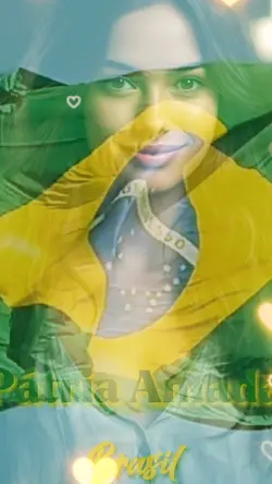le Brésil 