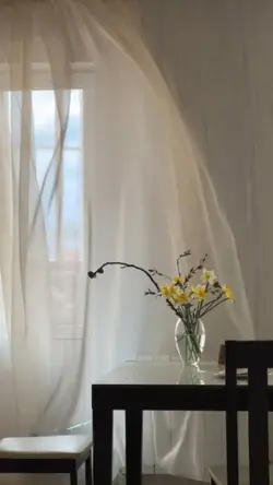 mini vlog aesthetic