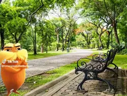 lorax 