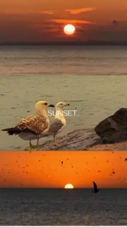 sunset