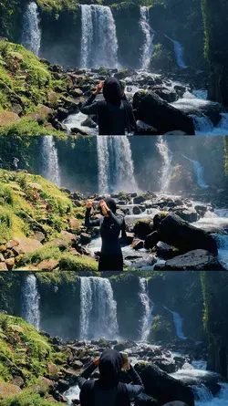 nature