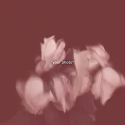 dying flowers