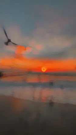 NEU SLOWMO TRADING 