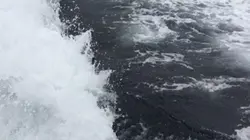 Tables and tides