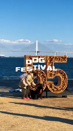 Festival(long)