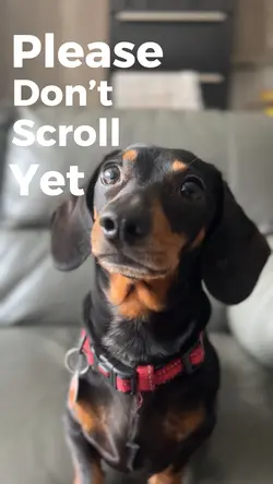 Say hi