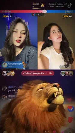 틱톡 사자 선물