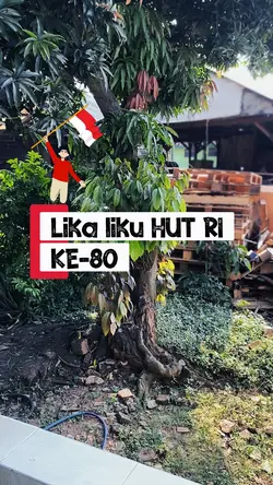 LIKA LIKU HUT RI 🇮🇩
